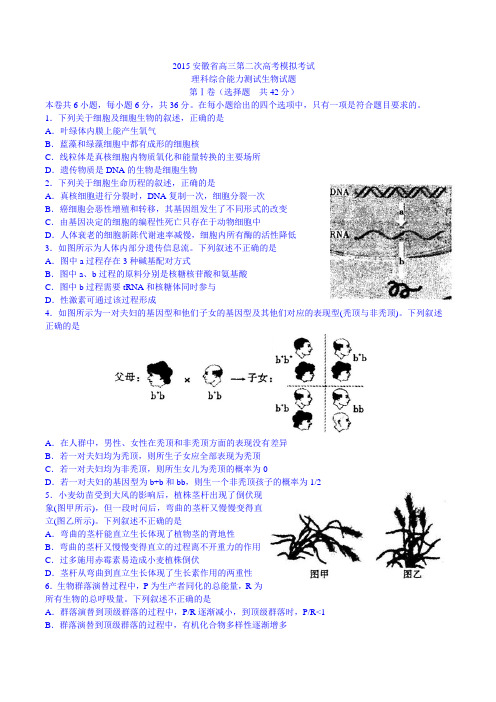 2015年安徽省高三第二次高考模拟考试理综试题生物试题 Word版含答案