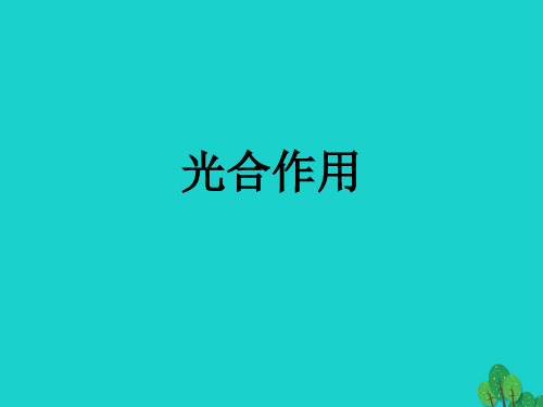 高中生物第一册第4章生命的物质变化和能量转换4.2光合作用课件(4)沪科版