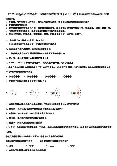 2025届浙江省嘉兴市初三化学试题模拟考试(江门一模)化学试题试卷与评分参考含解析