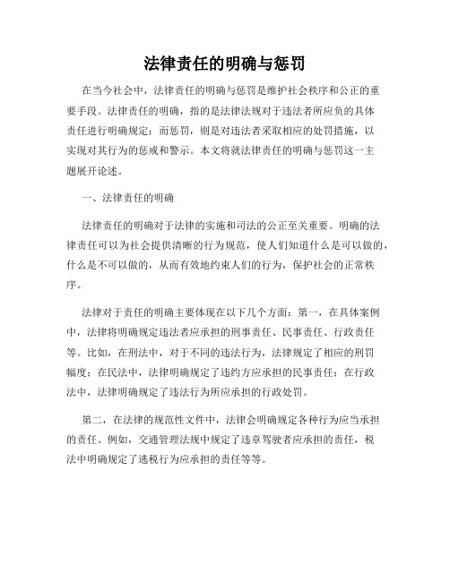 法律责任的明确与惩罚