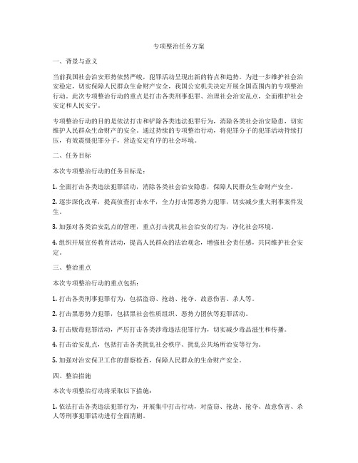 专项整治任务方案