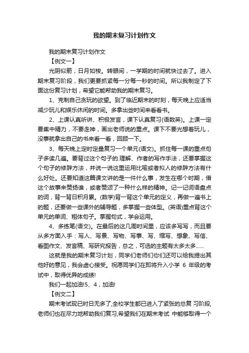 我的期末复习计划作文