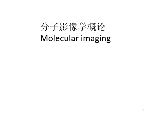 分子影像学概论PPT