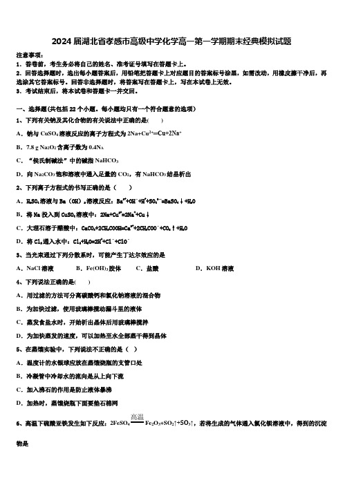 2024届湖北省孝感市高级中学化学高一第一学期期末经典模拟试题含解析