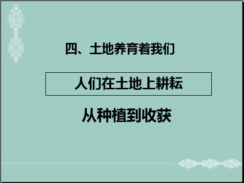 四年级下册思品课件-1 人们在土地上耕耘——从种植到收获北师大版(共19张PPT) PPT