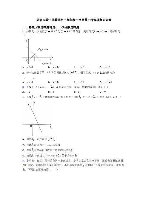 龙岩实验中学数学初中九年级一次函数中考专项复习训练