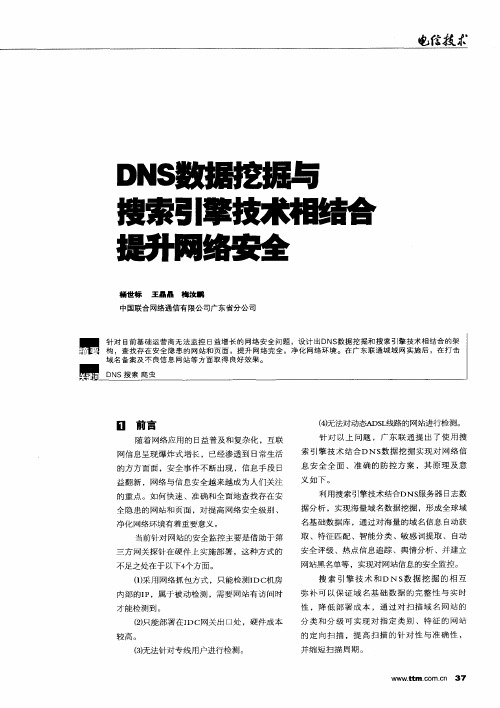 DNS数据挖掘与搜索引擎技术相结合提升网络安全