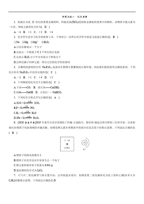 2021年九年级中考化学专题复习训练： 化学用语