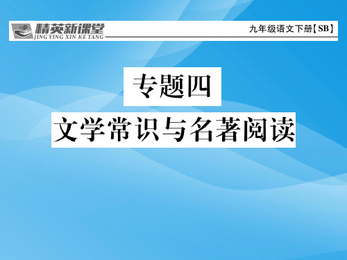 2017九年级语文下册文学常识与名著阅读专题总复习【苏教版】语文课件PPT