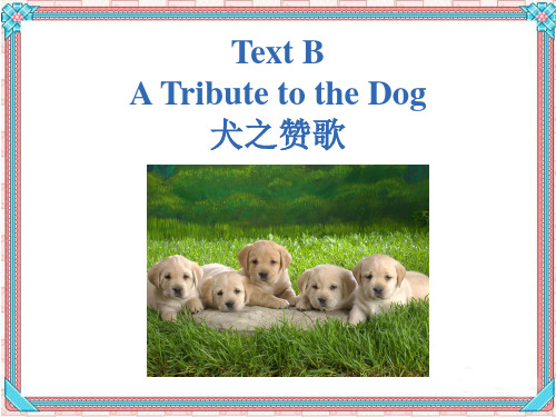 自考英语二(00015)unit3 Text B 课文