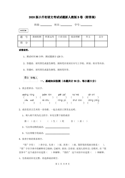 2020版小升初语文考试试题新人教版B卷 (附答案)