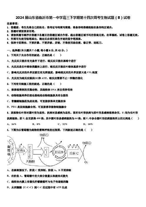 2024届山东省临沂市第一中学高三下学期第十四次周考生物试题(B)试卷含解析