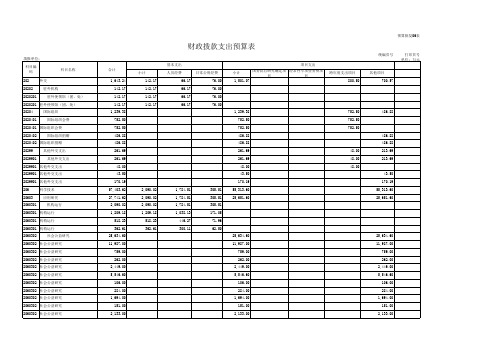 财政拨款支出预算表模板