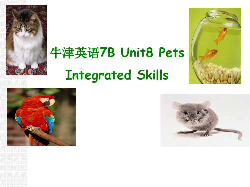 七年级下册(2013年11月第2版)《Integrated skills》精品PPT课件