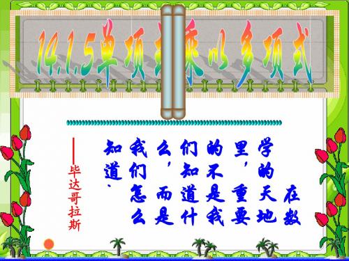 14.1.5单项式乘以多项式