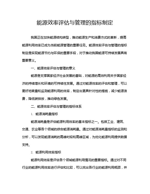 能源效率评估与管理的指标制定