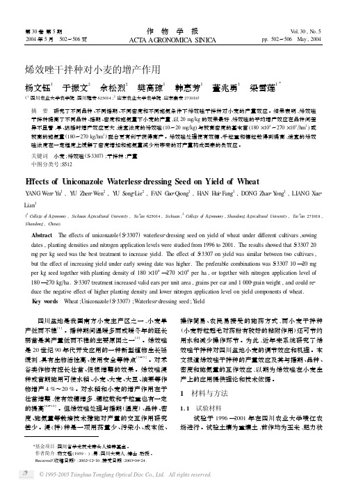 烯效唑干拌种对小麦的增产作用
