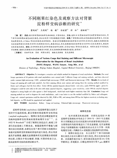 不同刚果红染色及观察方法对肾脏淀粉样变病诊断的研究