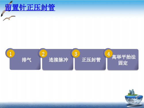 留置针正压封管PPT课件