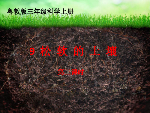 粤教版三年级上册科学   第九单元 《松软的土壤》