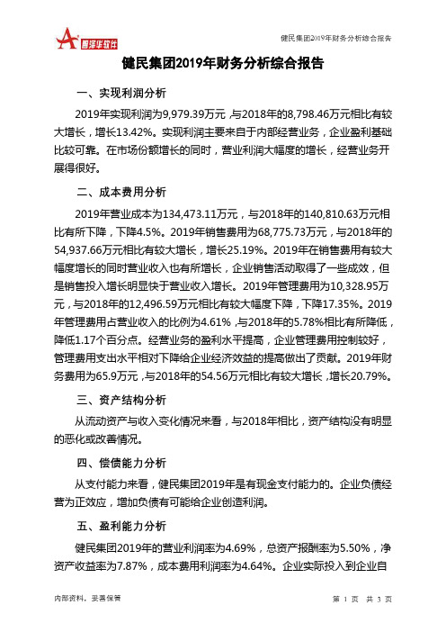 健民集团2019年财务分析结论报告