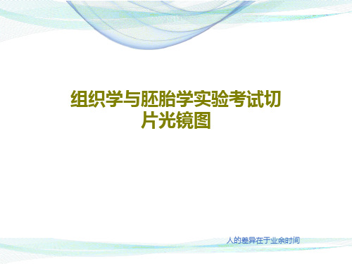 组织学与胚胎学实验考试切片光镜图共22页文档