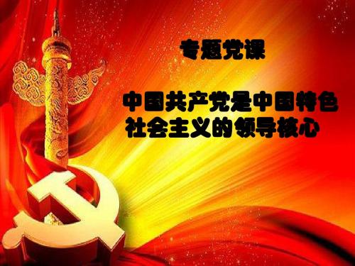 党课  中国特色社会主义领导核心理论