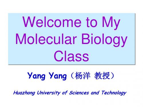 分子生物学第二章-染色体,染色质和核小体-chromosomes, chromatin, and the nucleosome