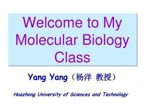 分子生物学第二章-染色体,染色质和核小体-chromosomes, chromatin, and the nucleosome