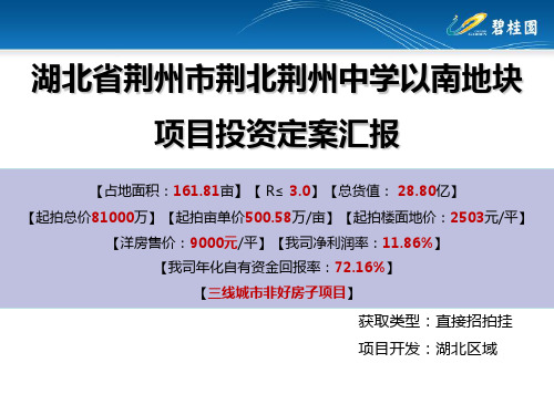 碧桂园地块可行性研究报告模板