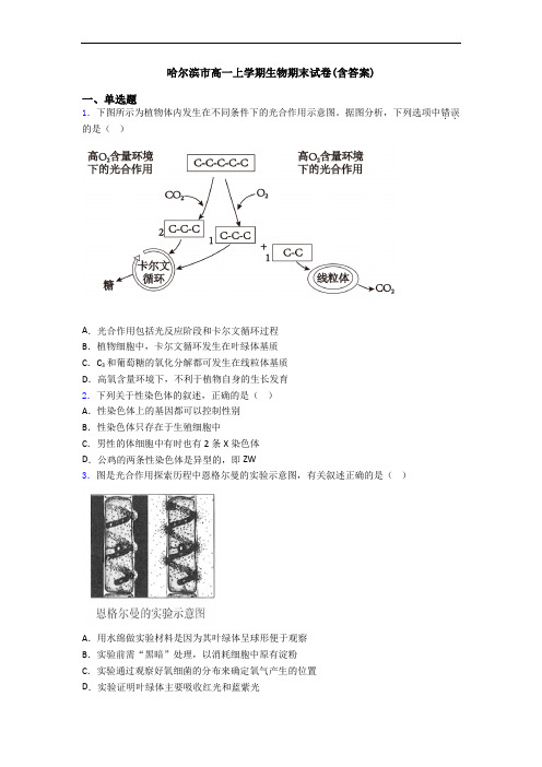 哈尔滨市高一上学期生物期末试卷(含答案)