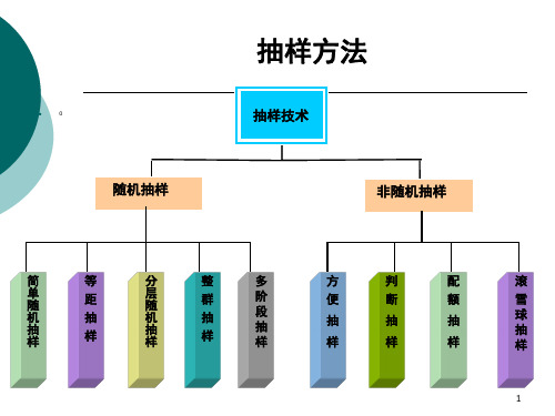 抽样设计