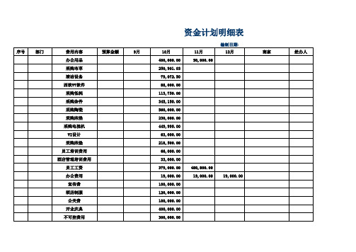 资金计划明细表