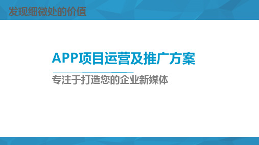 APP项目运营及推广方案