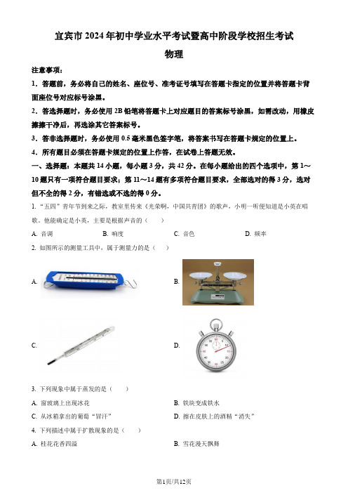 2024年四川省宜宾市中考物理试题