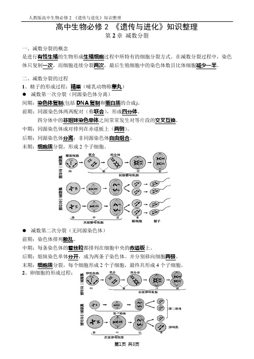 必修2知识整理第2章-减数分裂