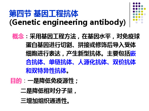 生物技术制药：抗体工程制药(2)