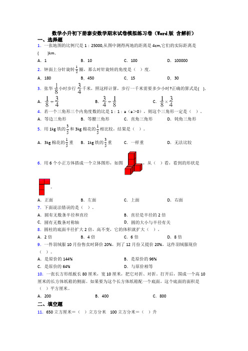 数学小升初下册泰安数学期末试卷模拟练习卷(Word版 含解析)