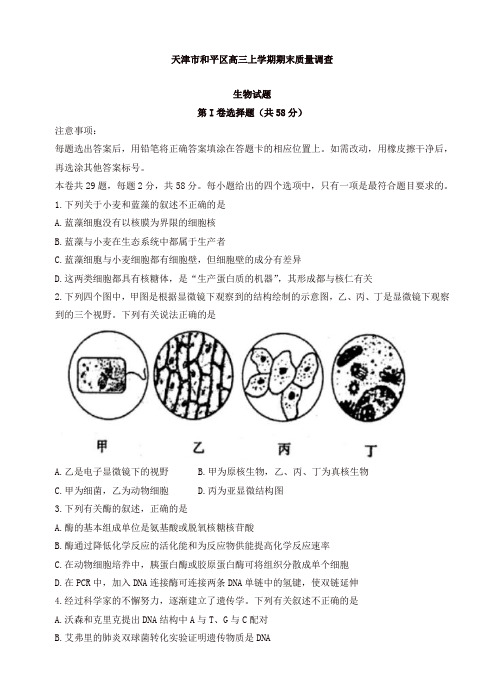 2019年天津市和平区高三上学期期末质量调查生物试题(有答案)[精品]