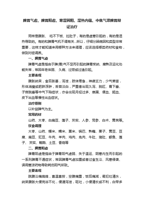 脾胃气虚、脾胃阳虚、寒湿困阻、湿热内蕴、中焦气滞脾胃辩证治疗