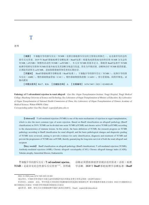 移植肾T细胞介导的排斥反应的病理学