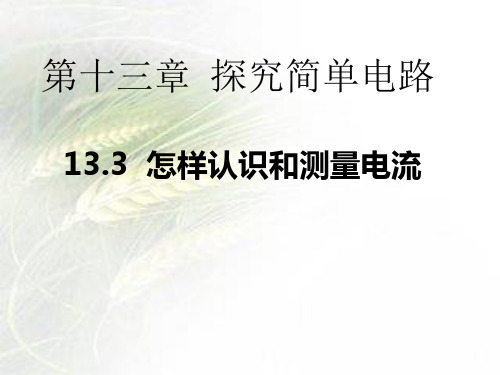 沪粤物理九年级上册第13章3 怎样认识和测量电流(共17张PPT)