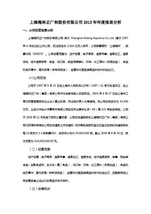 上海梅林财务报表分析