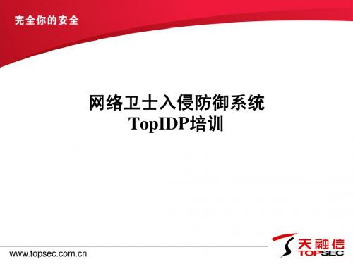 网络卫士入侵防御系统TopIDP