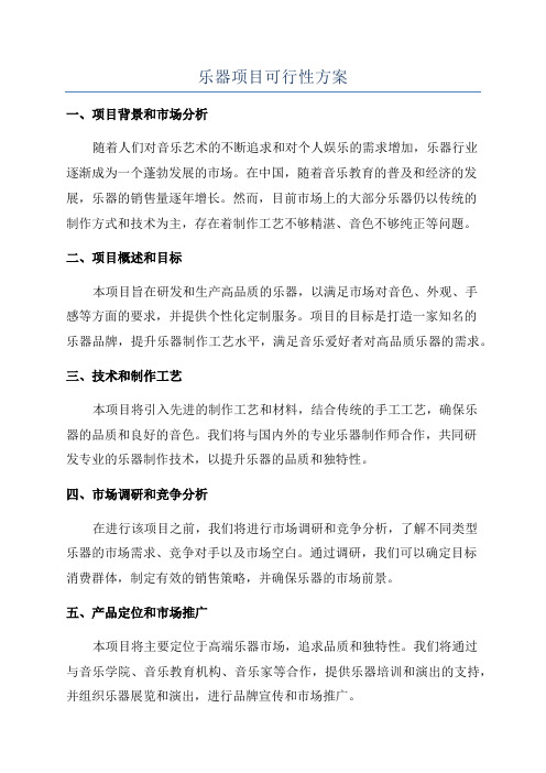 乐器项目可行性方案