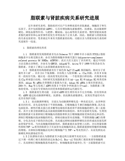 脂联素与肾脏疾病关系研究进展