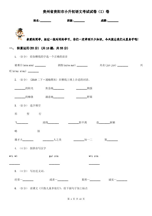 贵州省贵阳市小升初语文考试试卷(I)卷