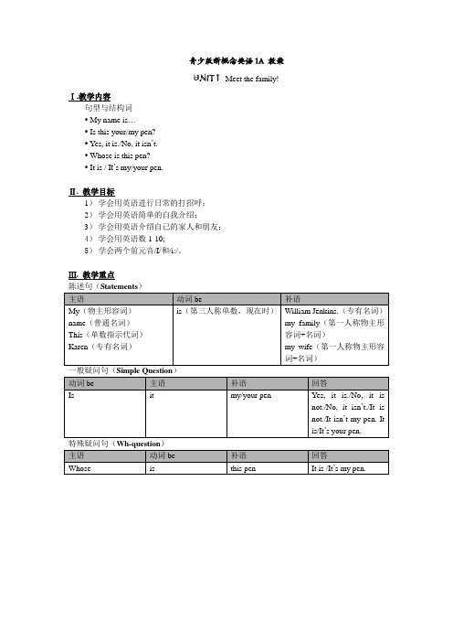 青少年新概念英语1A_教案