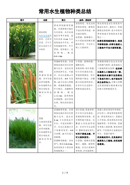 (完整版)常用水生植物种类汇总