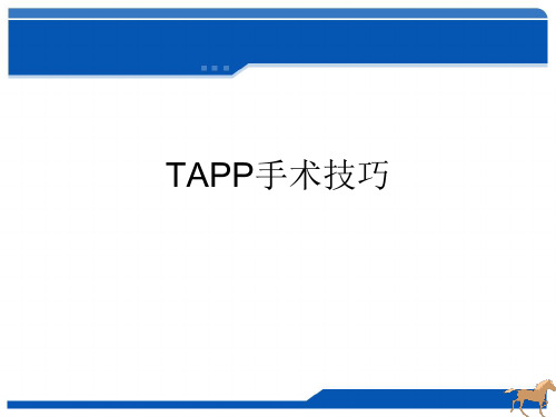 TAPP手术技巧